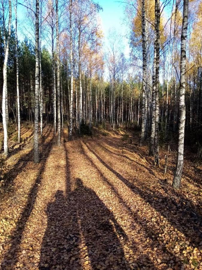 Appartamento Siedlisko Czarny Dzieciol Narewka Esterno foto